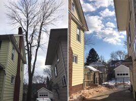 BeforeAfterTreeRemoval1